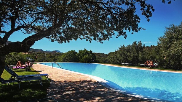 Une piscine avec des chaises longues et un chemin en pierre.
