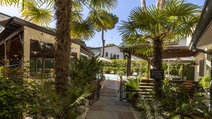 Un sendero que lleva a una piscina rodeada de exuberante vegetación y palmeras.