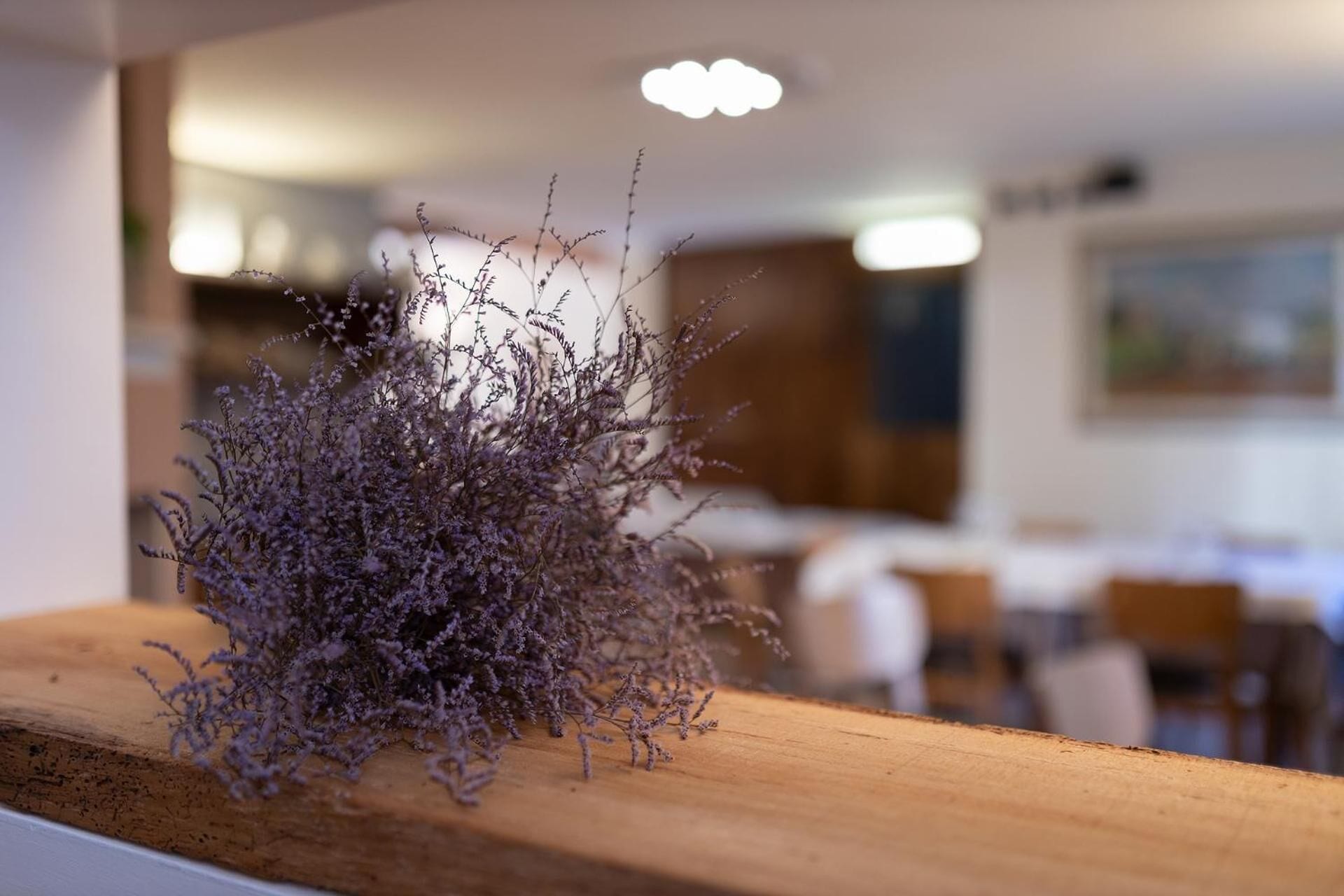 Abendessen, italienische Küche, Blick auf den Pool 