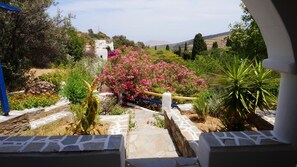 إطلالة الغرفة