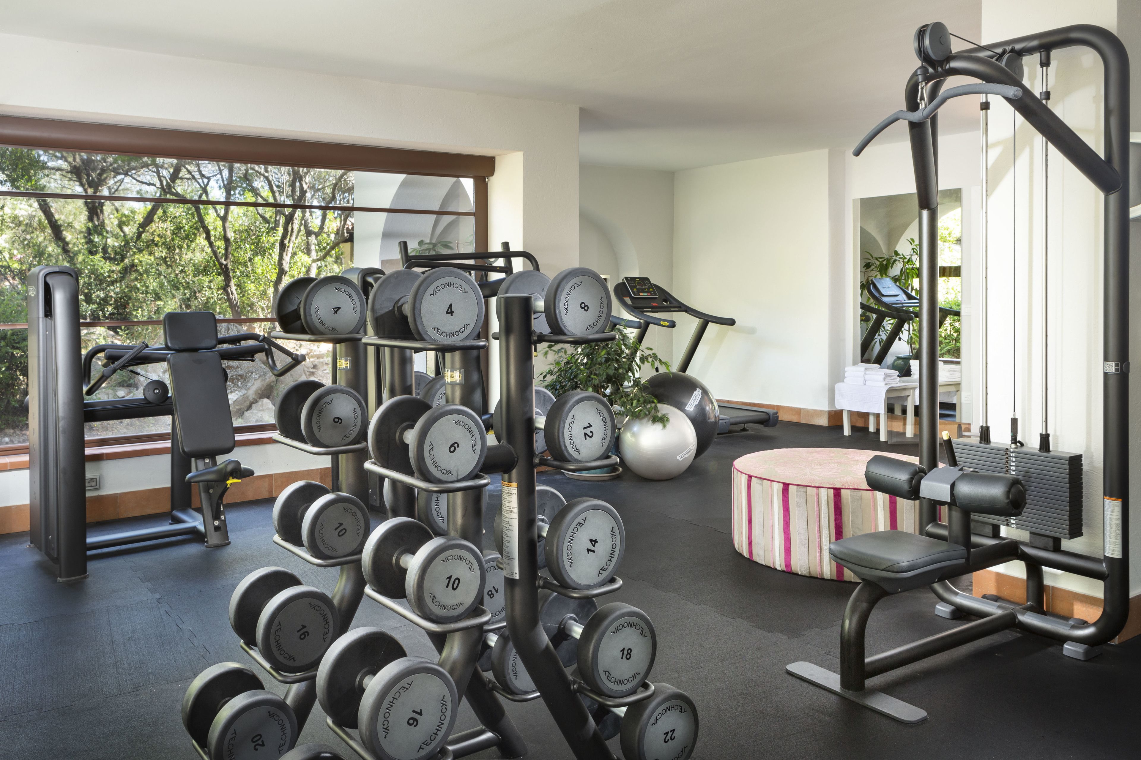 A gym with various exercise equipment, including dumbbells, a bench press, and a treadmill.