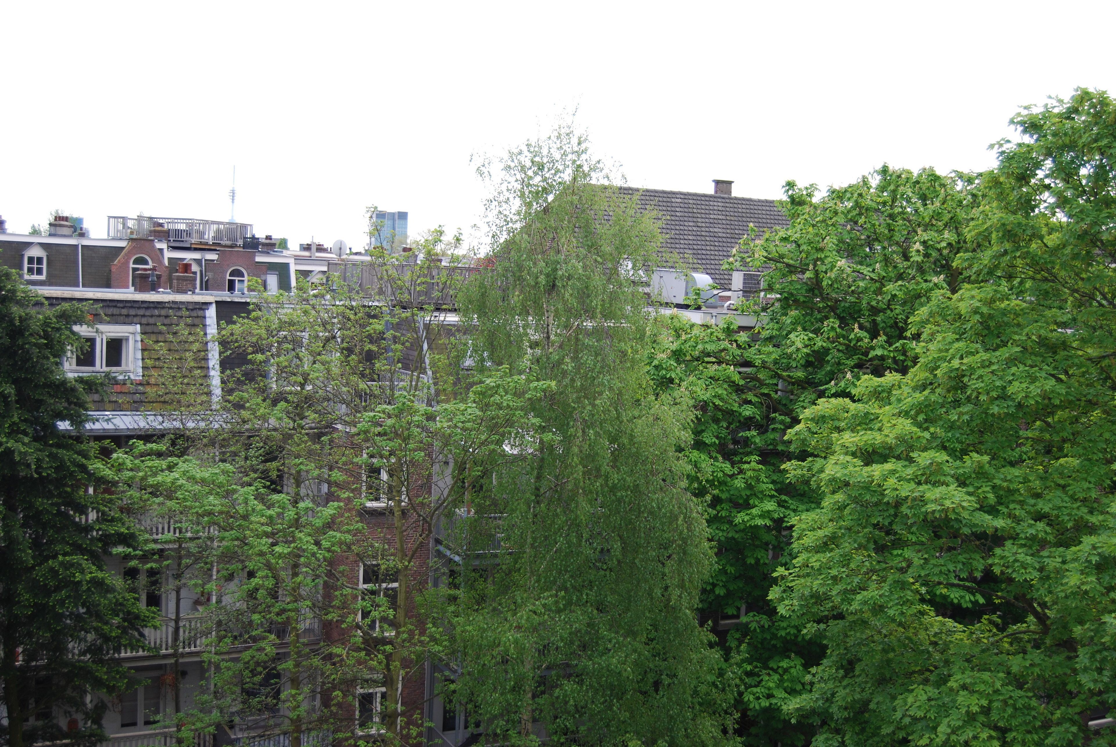 En byggnad med flera våningar, en fasad av tegel och många fönster.