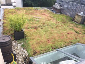 Utsikt fra overnattingsstedet