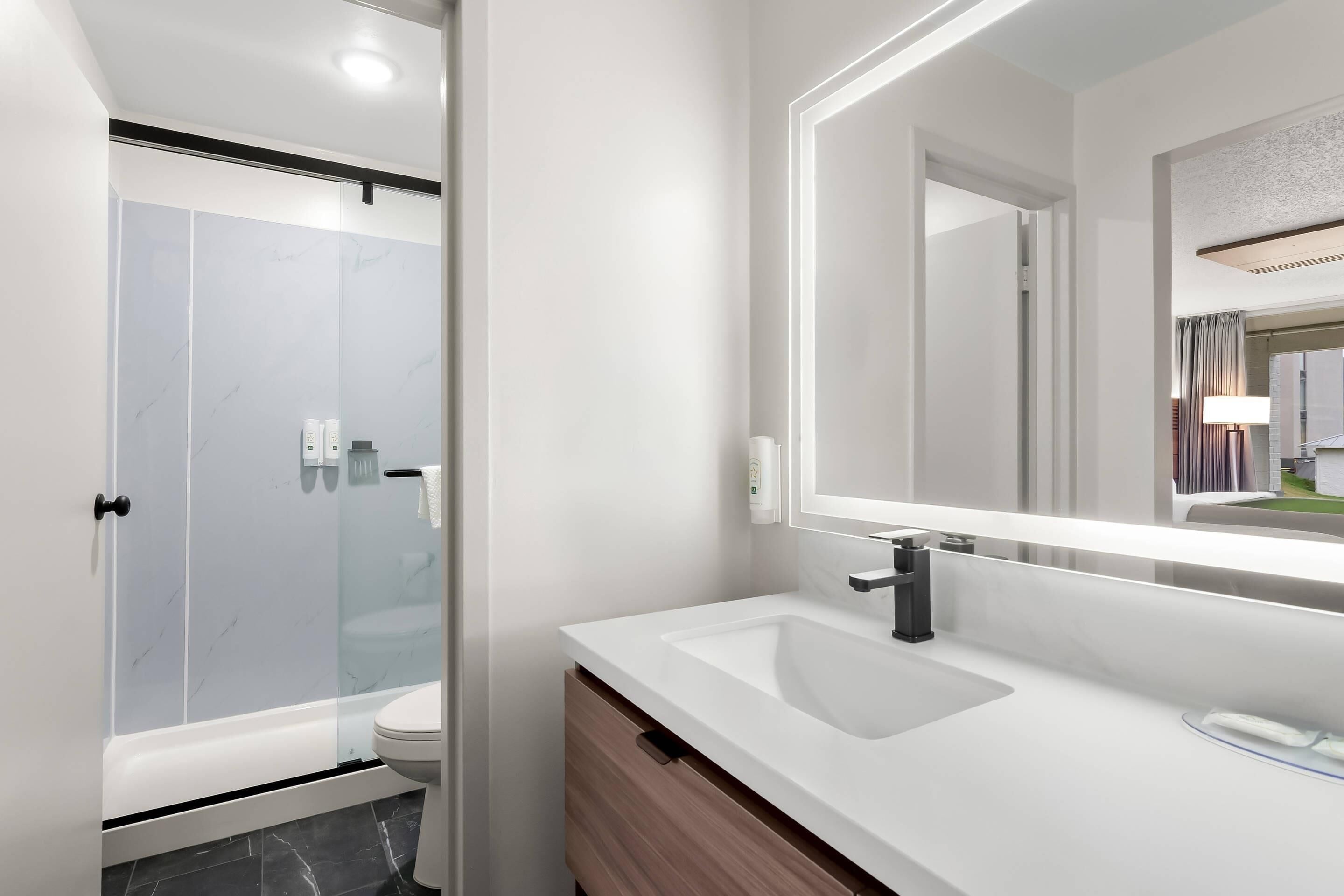 A modern bathroom with a glass shower enclosure, a white sink, and a large mirror.