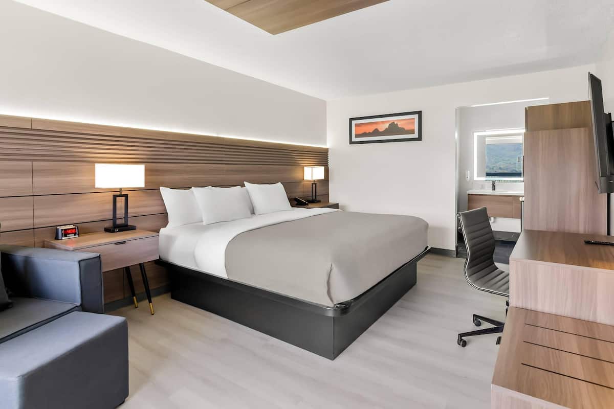 Standard Room, 1 King Bed, Non Smoking