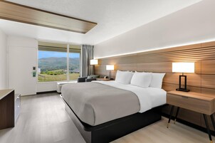 Escrivaninha, Wi-Fi de cortesia, roupa de cama