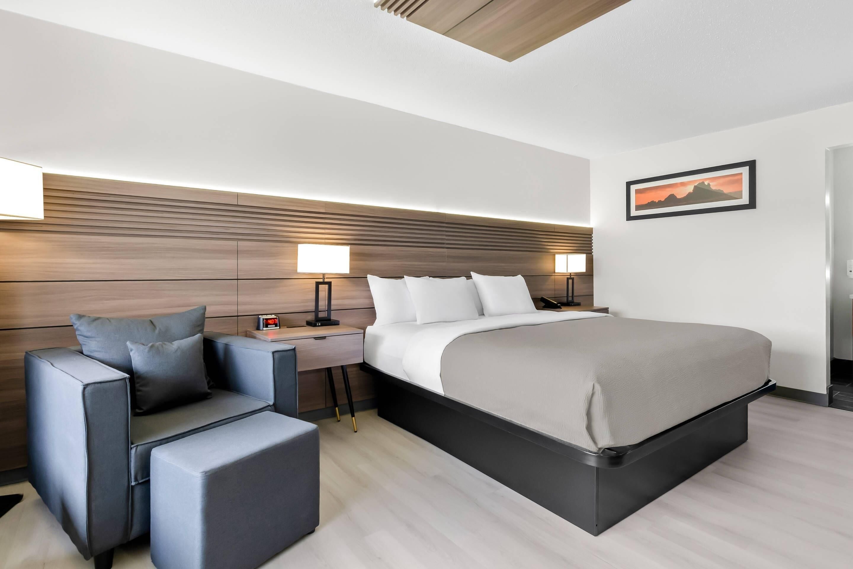 Una habitación de hotel moderna con una cama grande, un sofá, una mesita de noche con lámpara y un cuadro en la pared.