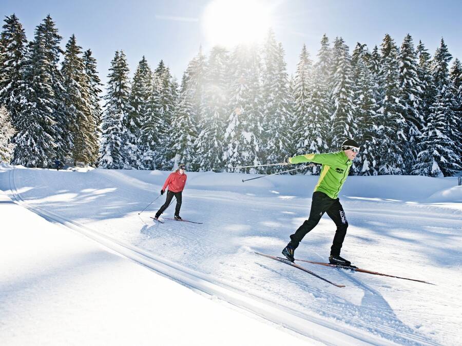 Two skiers on a snowy slope with evergreen trees in the background.