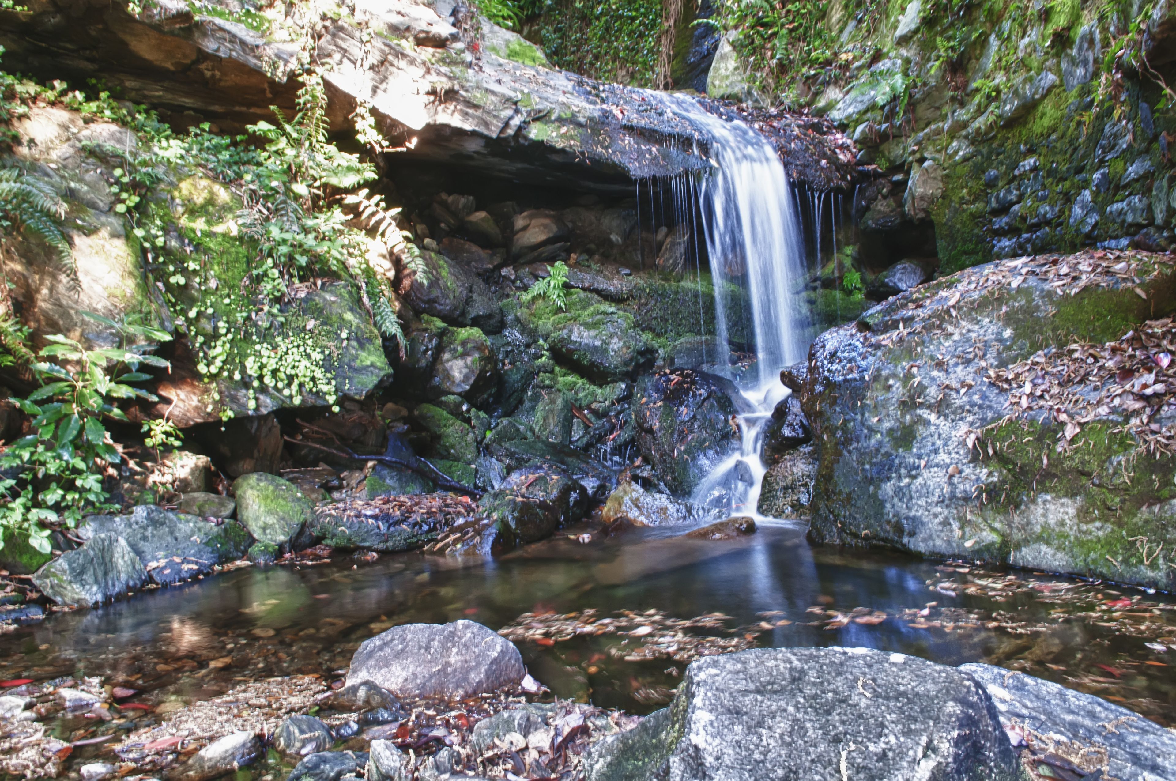 Una cascada natural rodeada de rocas y follaje.