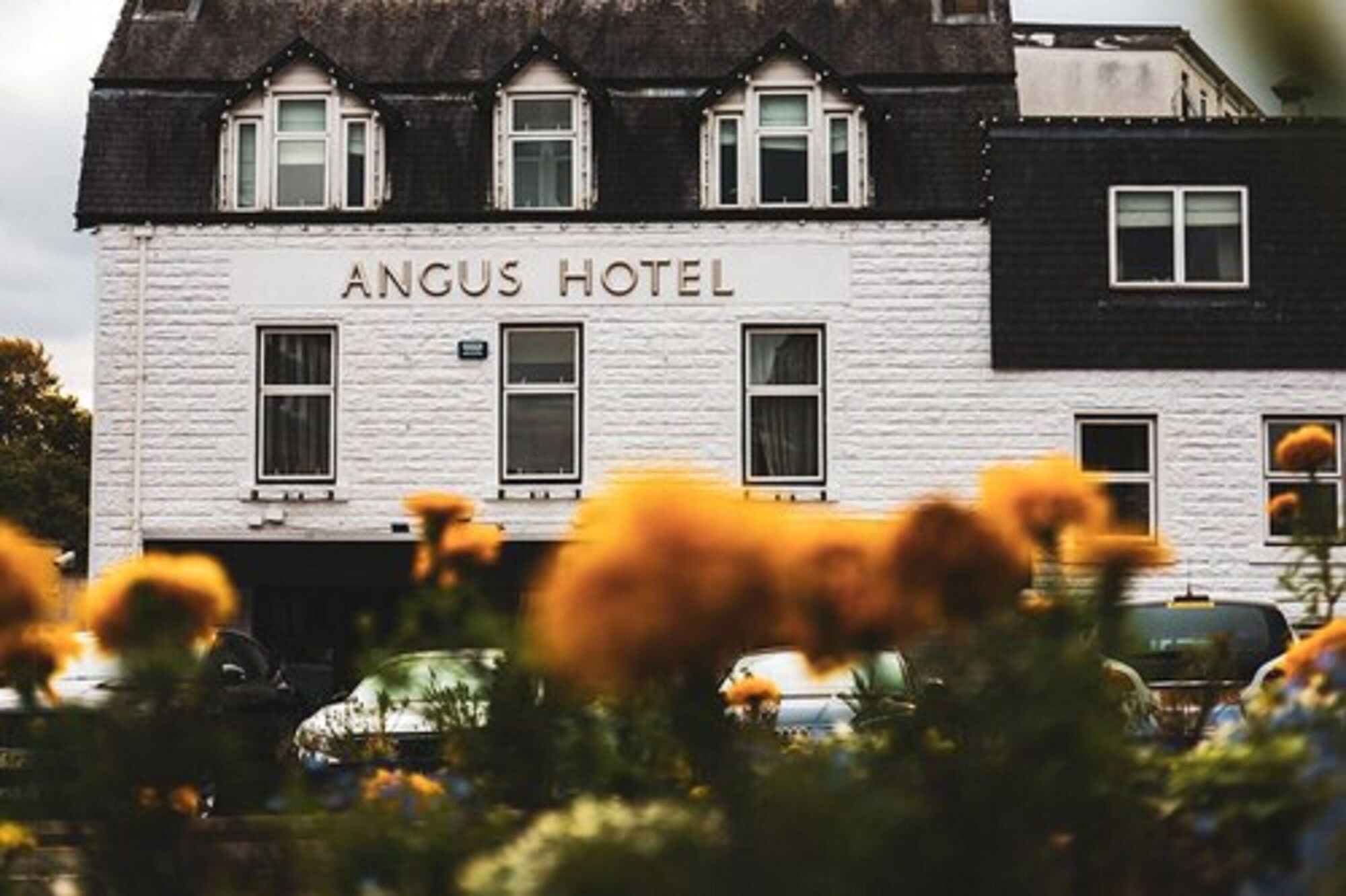 3 Star Hotels
