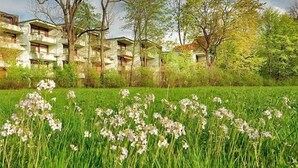 Un edificio con varios balcones, rodeado por un campo cubierto de flores silvestres.