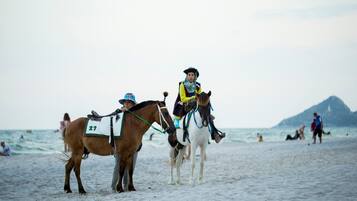 Two horses on a beach with a person riding one.