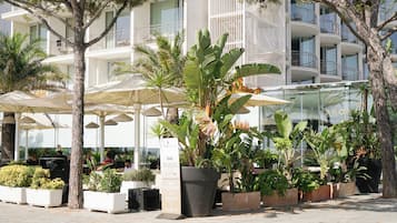 Terras