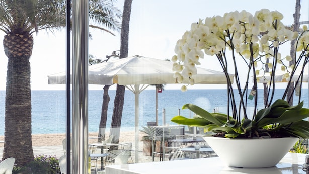 Un café frente a la playa con mesas al aire libre, una orquídea blanca en maceta y vista al mar.