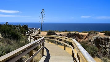 A wooden boardwalk leading to a coastal area with a clear view of the ocean.