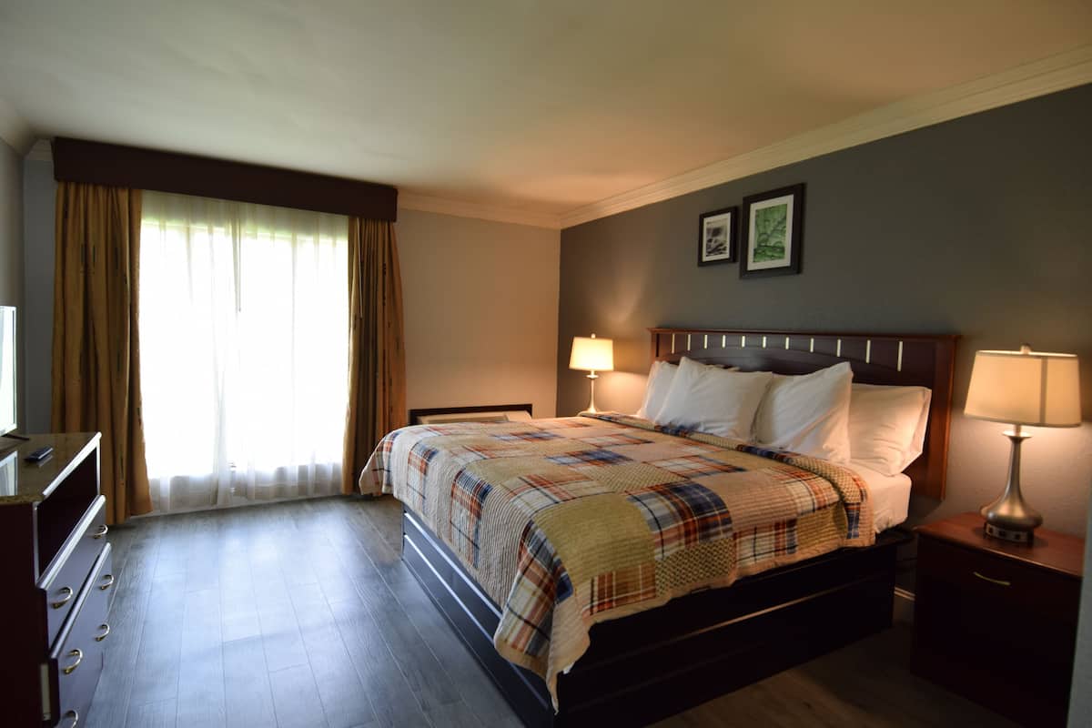 Executive Suite, 1 Katil Raja (King) dengan Katil Sofa, Non Smoking, Kitchenette | 1 bilik tidur, meja, langsir/tirai gelap terus, seterika/papan seterika