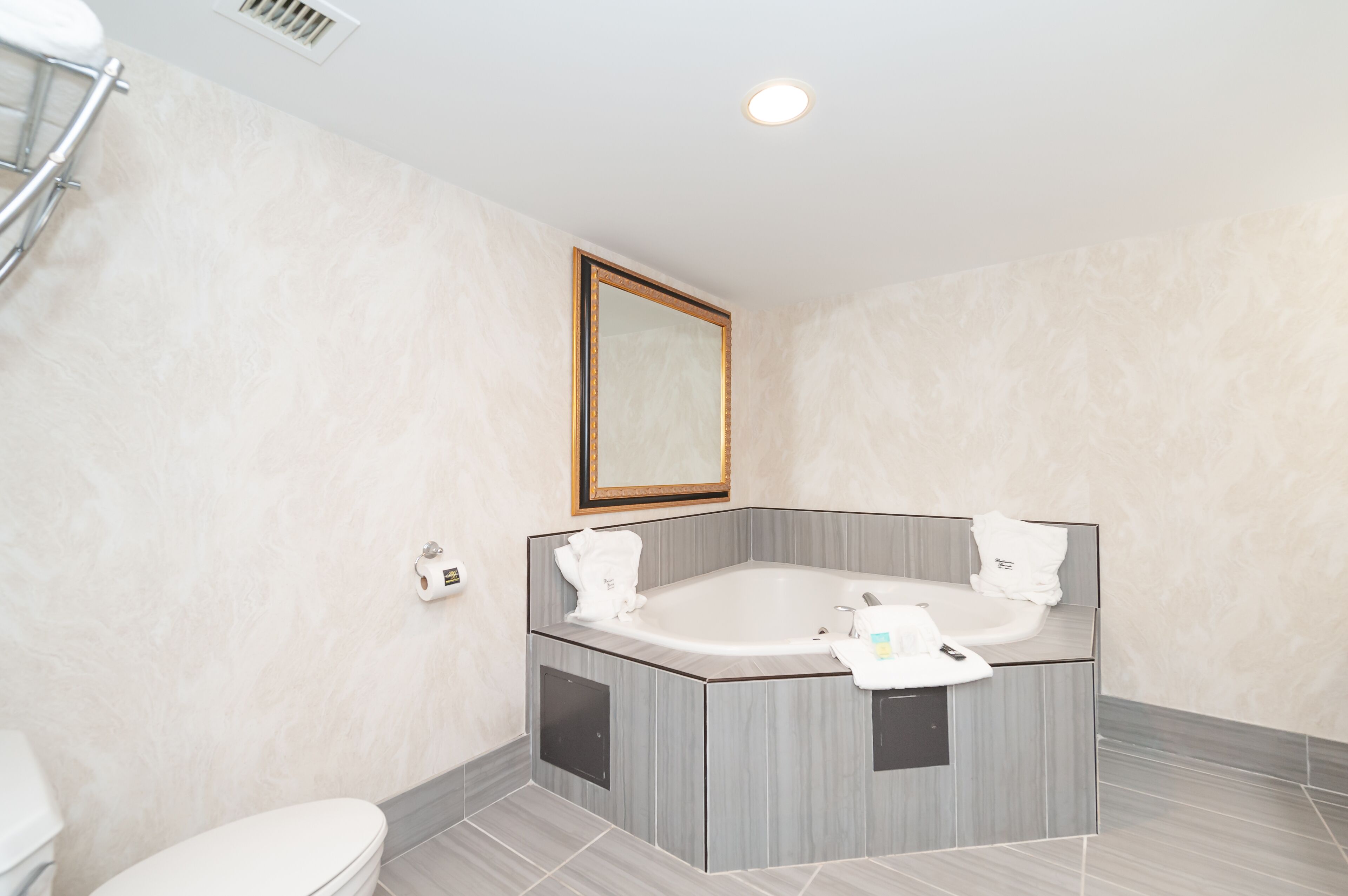 A modern bathroom with a freestanding bathtub, a toilet, and a mirror on the wall.