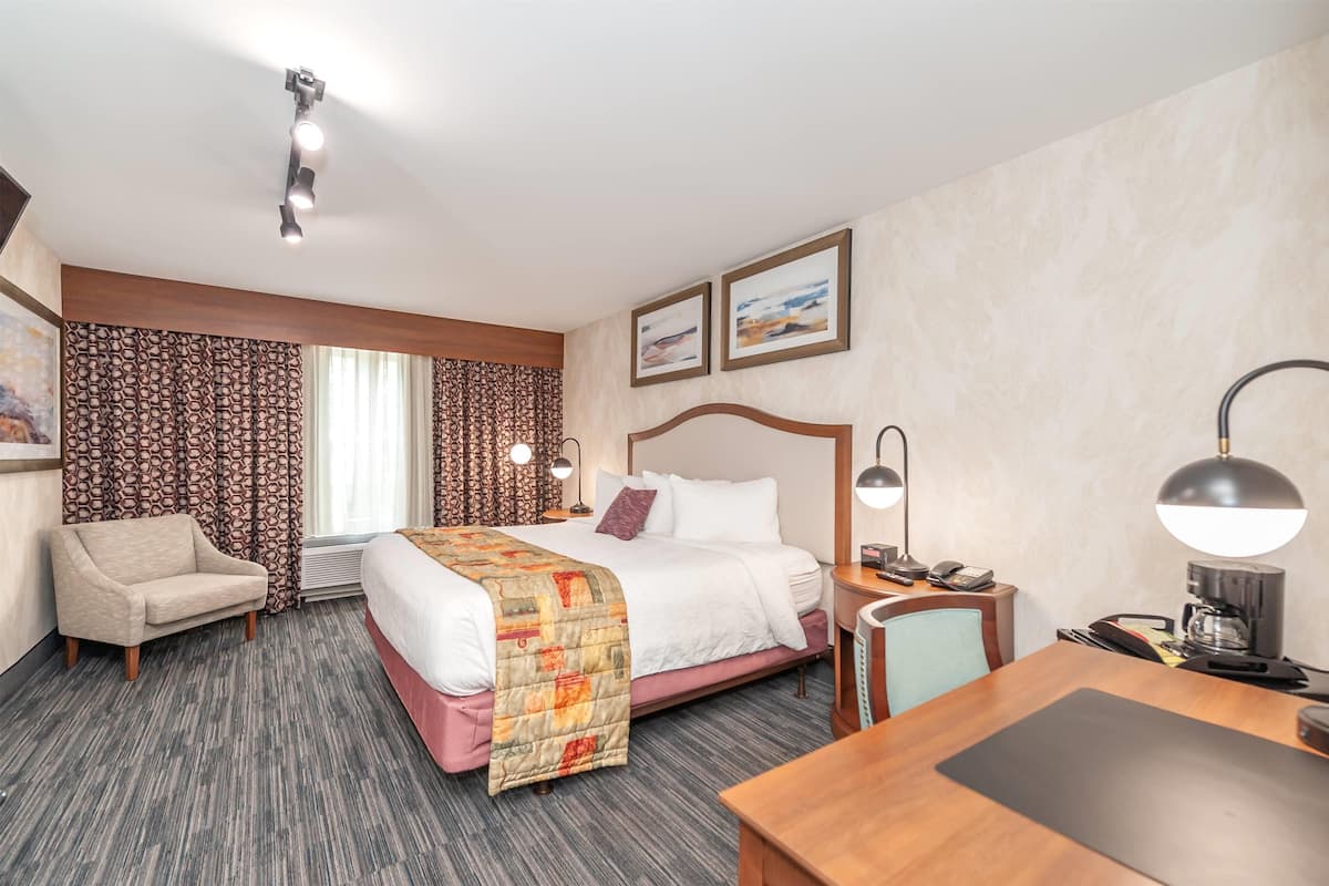 A hotel room with a bed, a desk, a chair, a lamp, and a window with curtains.