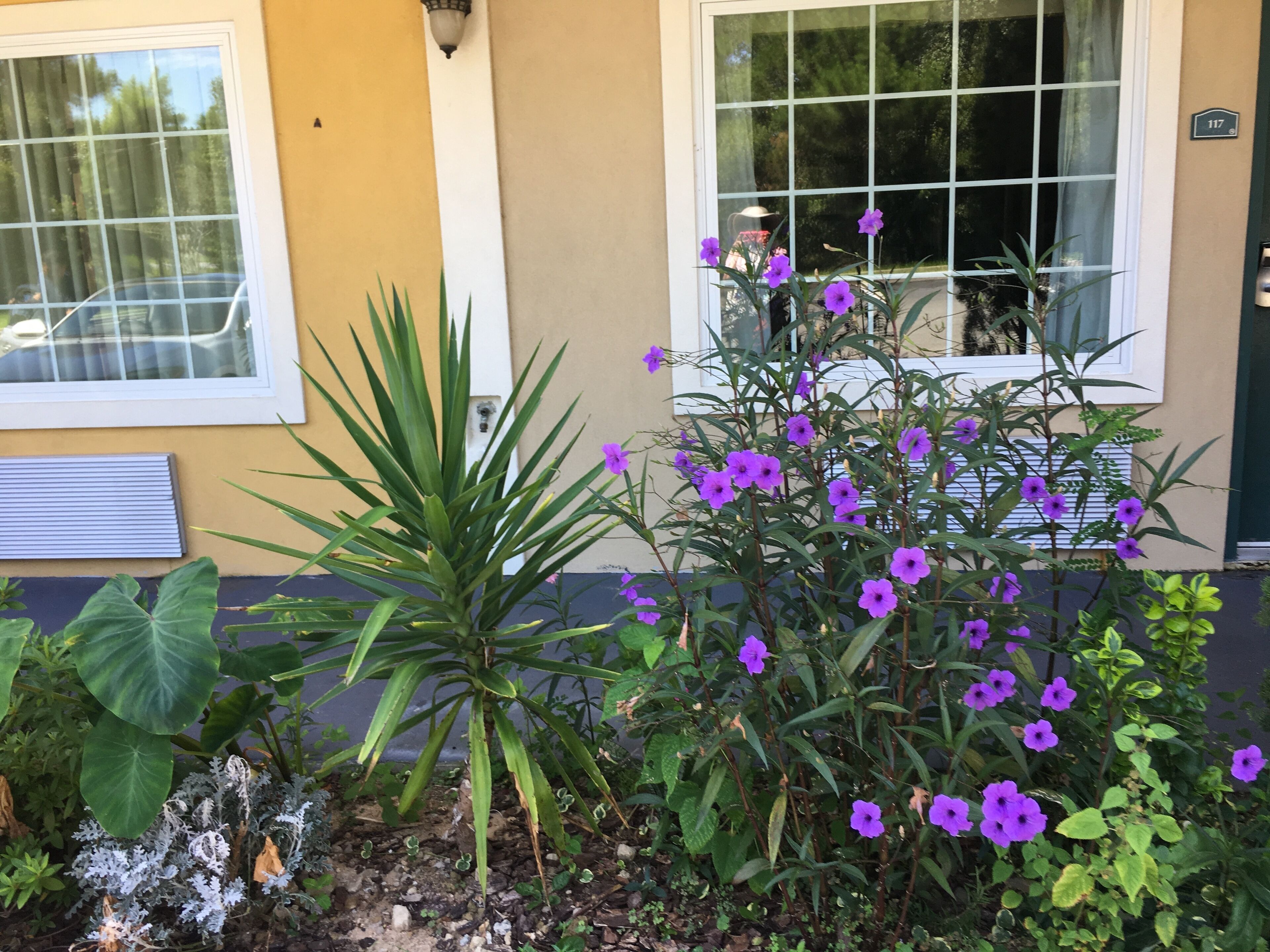 Standard Room, 2 Queen Beds, Smoking | Garden view