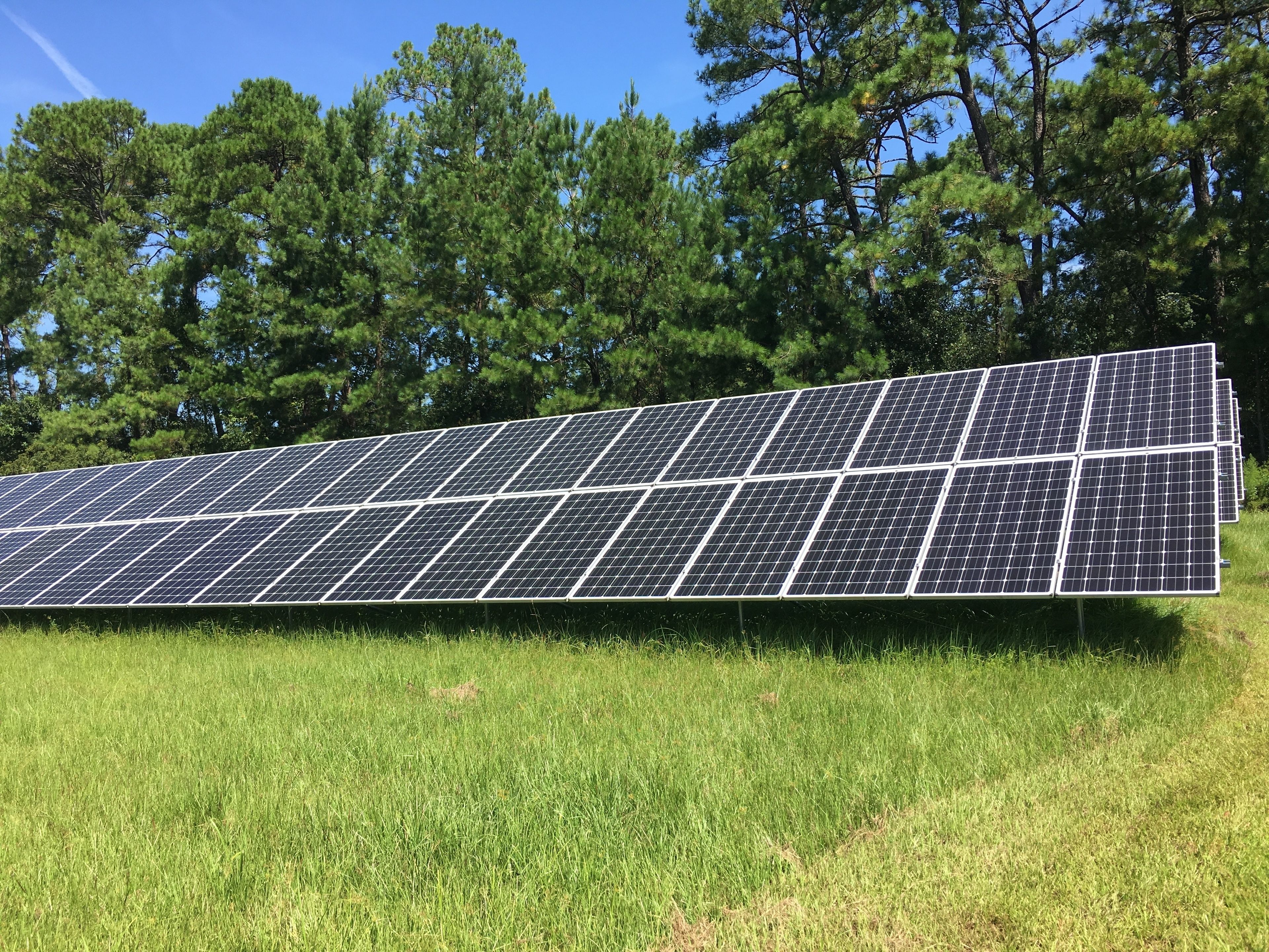 Un ensemble de panneaux solaires installé dans un champ herbeux, avec des arbres en arrière-plan.
