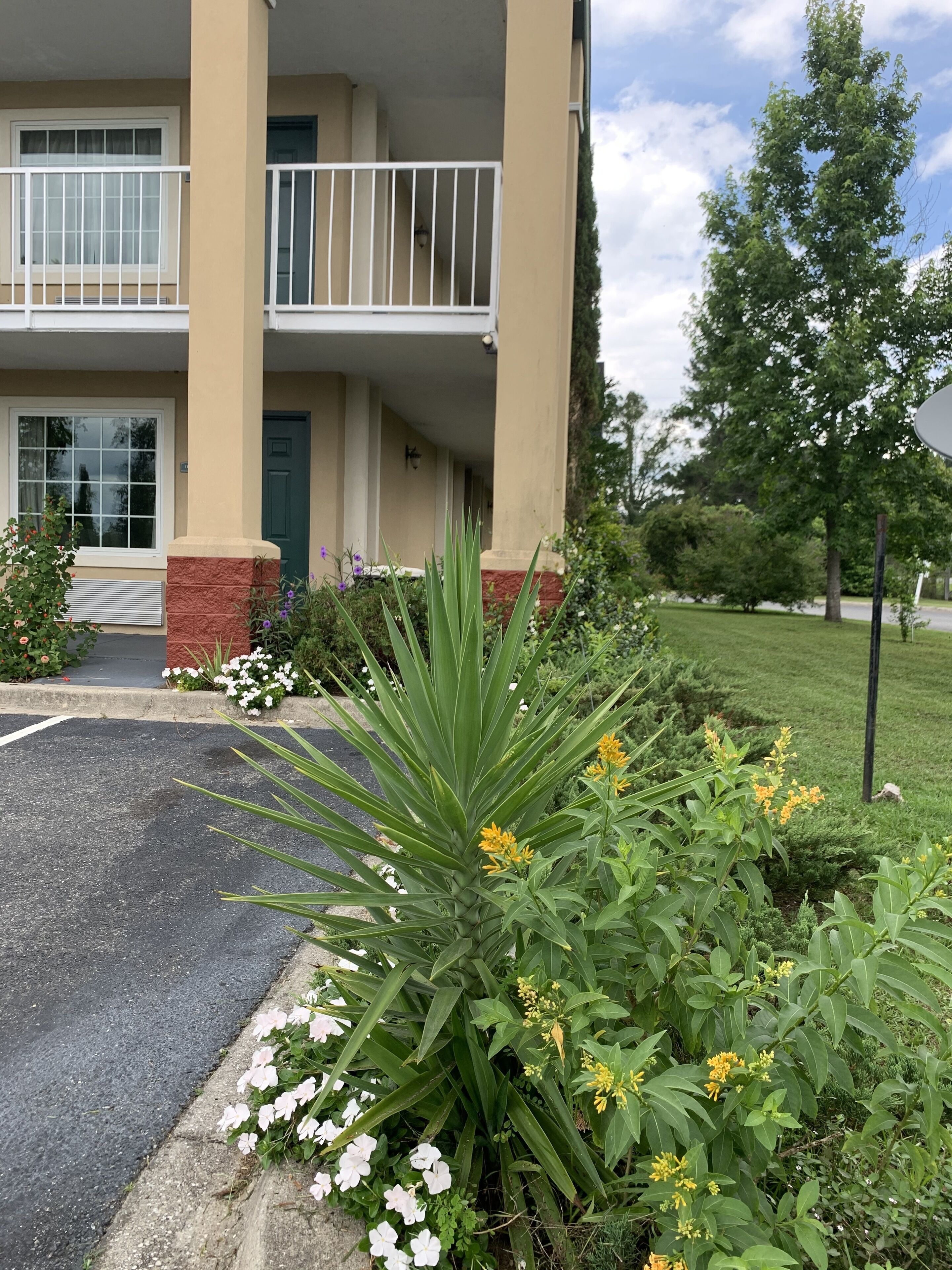 A multi-story building with a balcony, a parking lot, and a well-maintained garden with various plants and flowers.