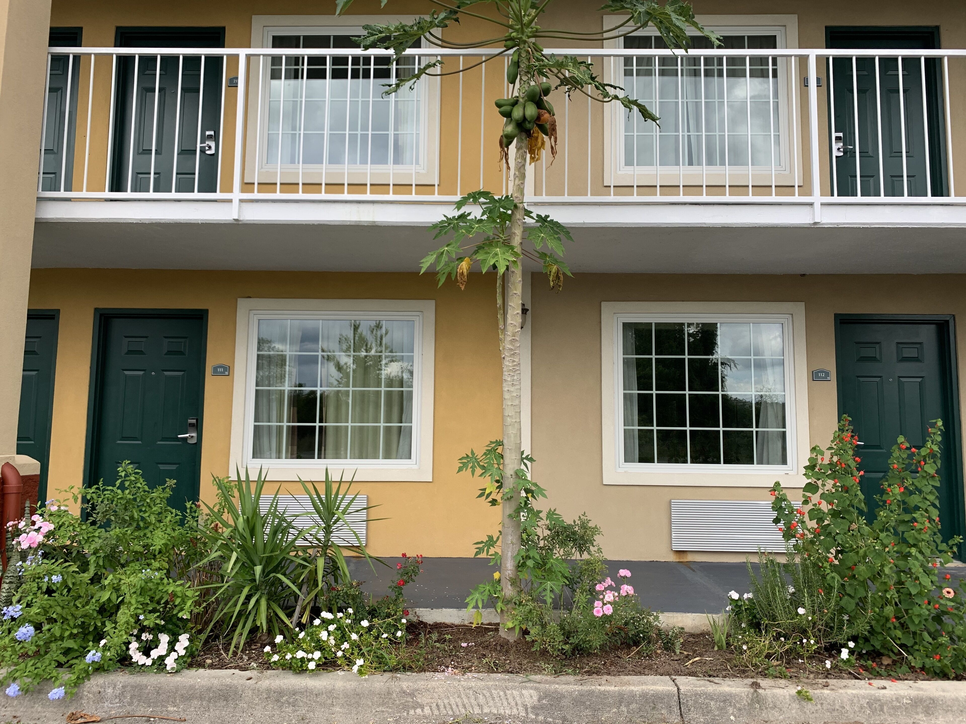 A two-story building with numbered doors, a balcony with a railing, and a variety of plants and flowers in the front yard.