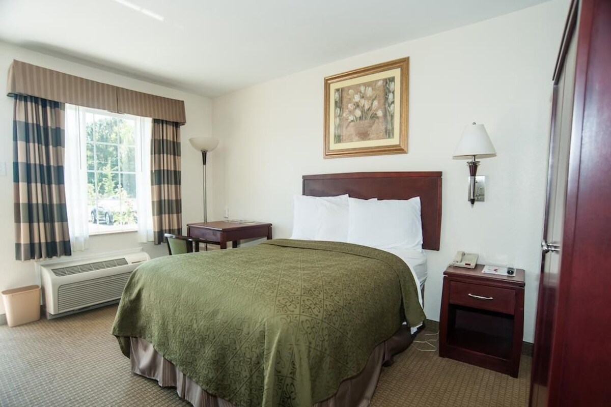 Habitación de hotel con una cama grande, una mesita de noche, una lámpara, un cuadro en la pared y una ventana con cortinas.