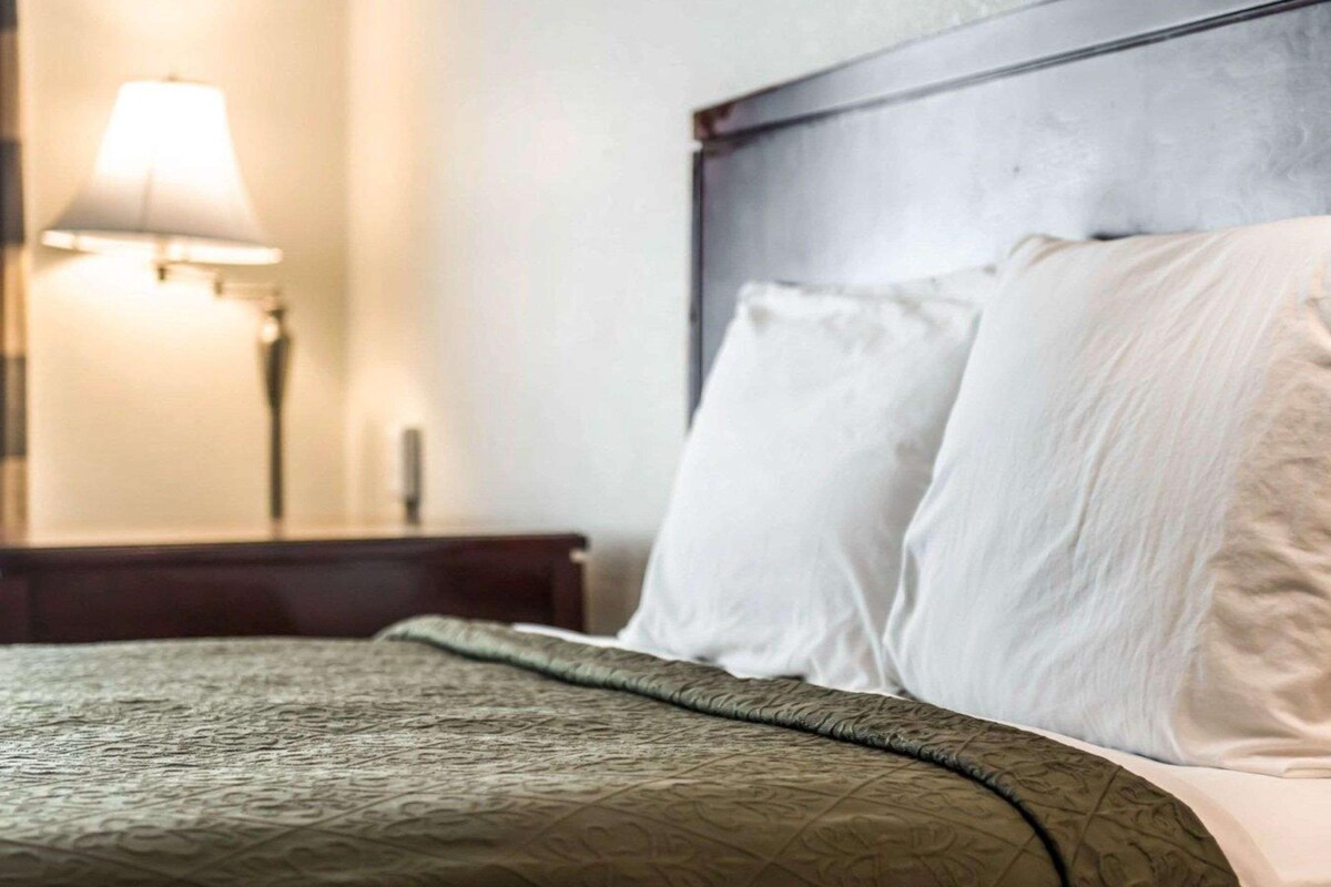 Una cama con cabecera, una lámpara de noche y un cuadro colgado en la pared.