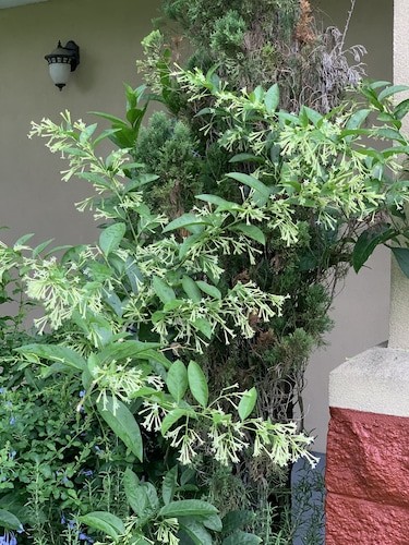 Econo Lodge Monticello