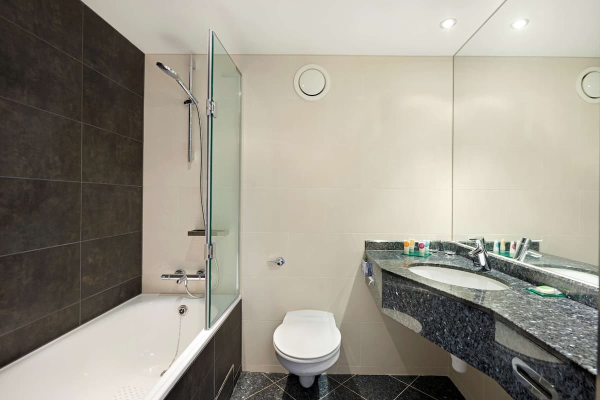 combined shower/bathtub, free toiletries, hair dryer, towels