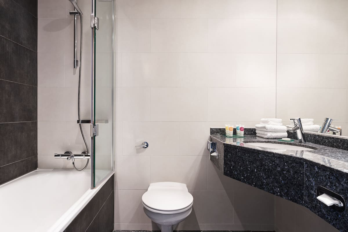 combined shower/bathtub, free toiletries, hair dryer, towels