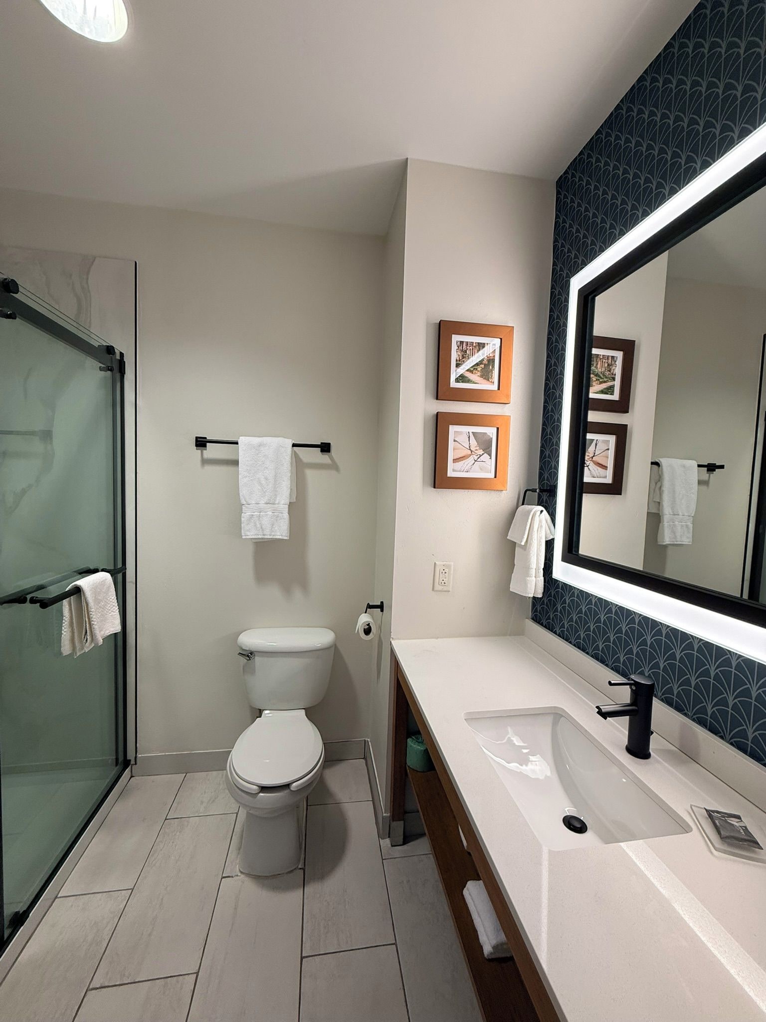 A modern bathroom with a glass shower enclosure, a white toilet, and a vanity with a large mirror.