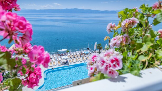 Unclassified image, 1 of 77, button - Granit (Ohrid)