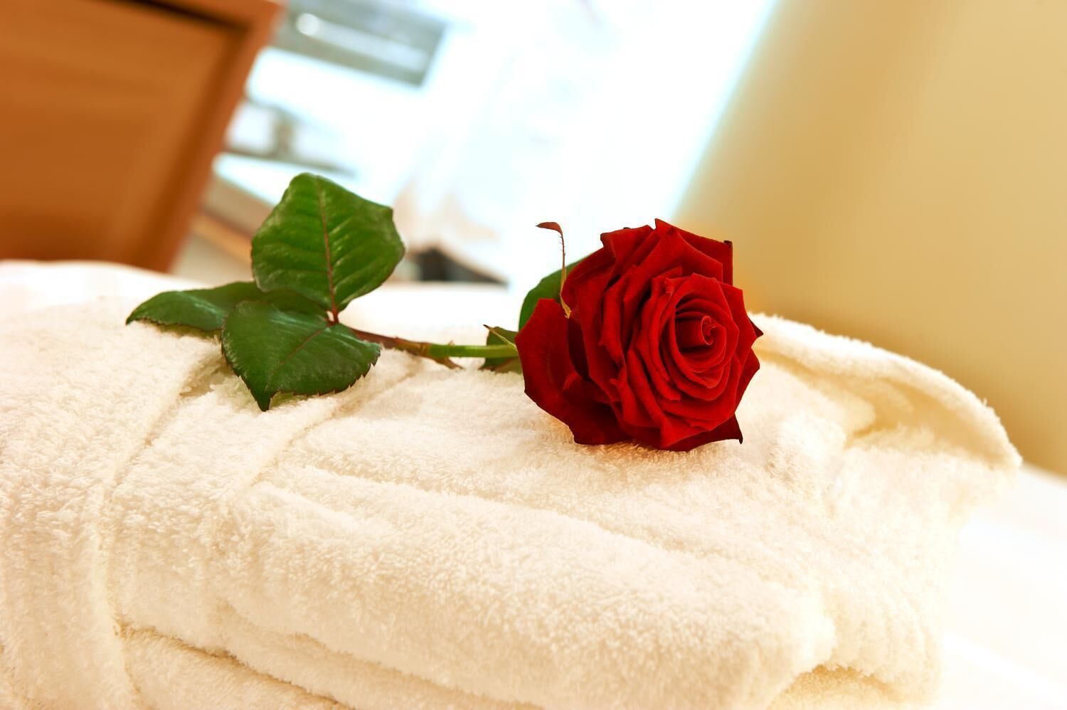 hypo-allergenic bedding, in-room safe, desk, blackout curtains