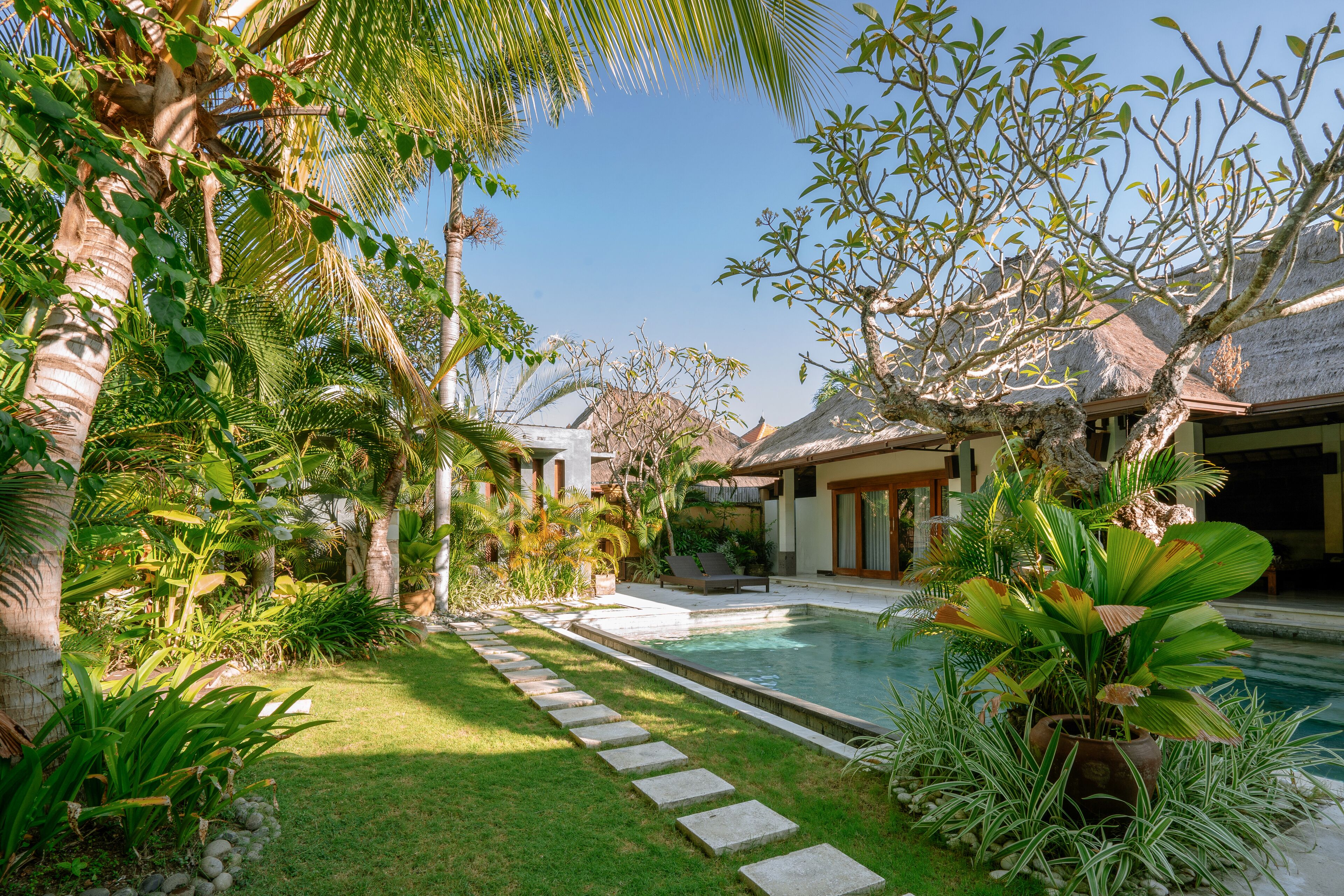 A pool area with a stone pathway, surrounded by lush greenery and palm trees.