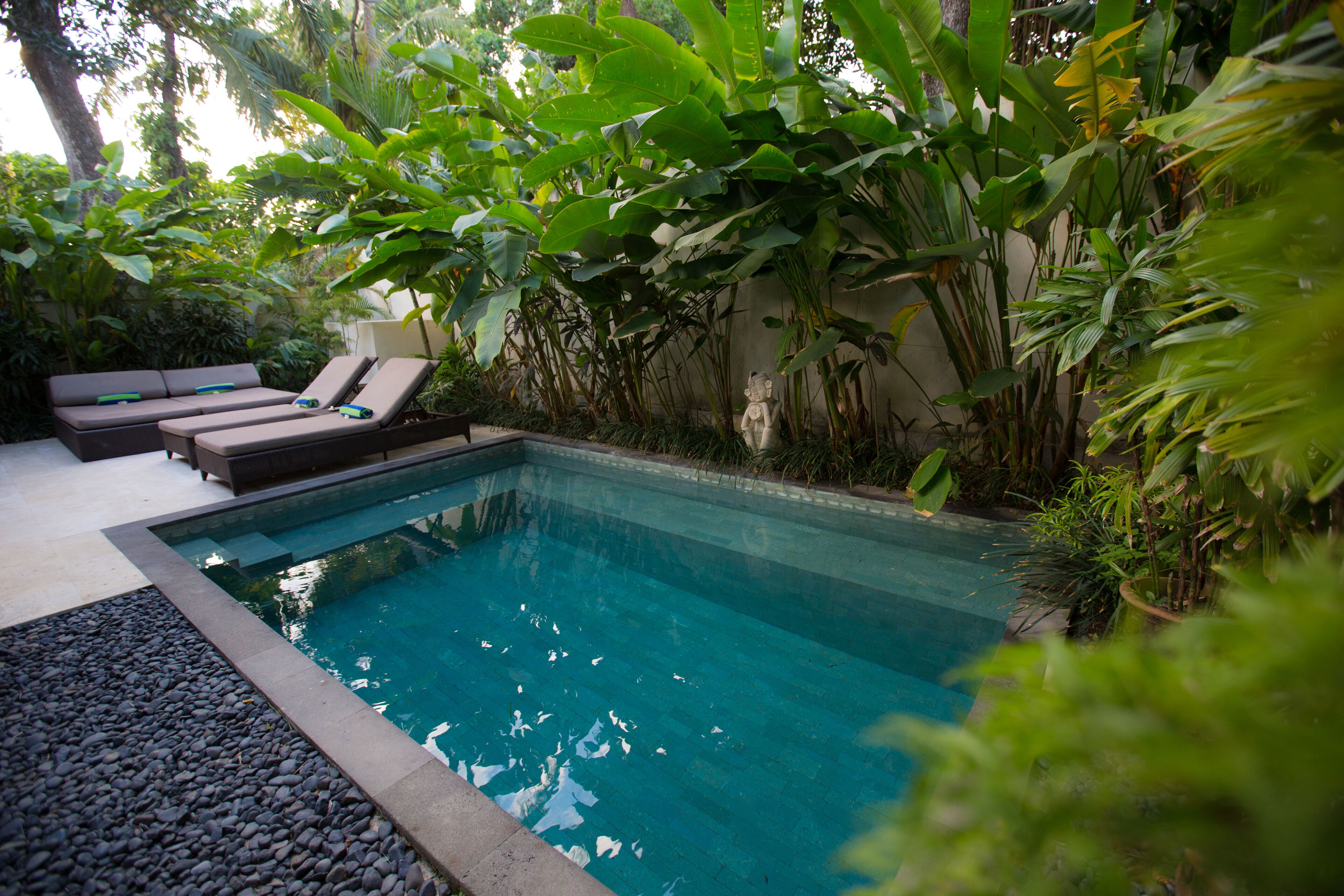 Una piscina con sillas de descanso y plantas tropicales.