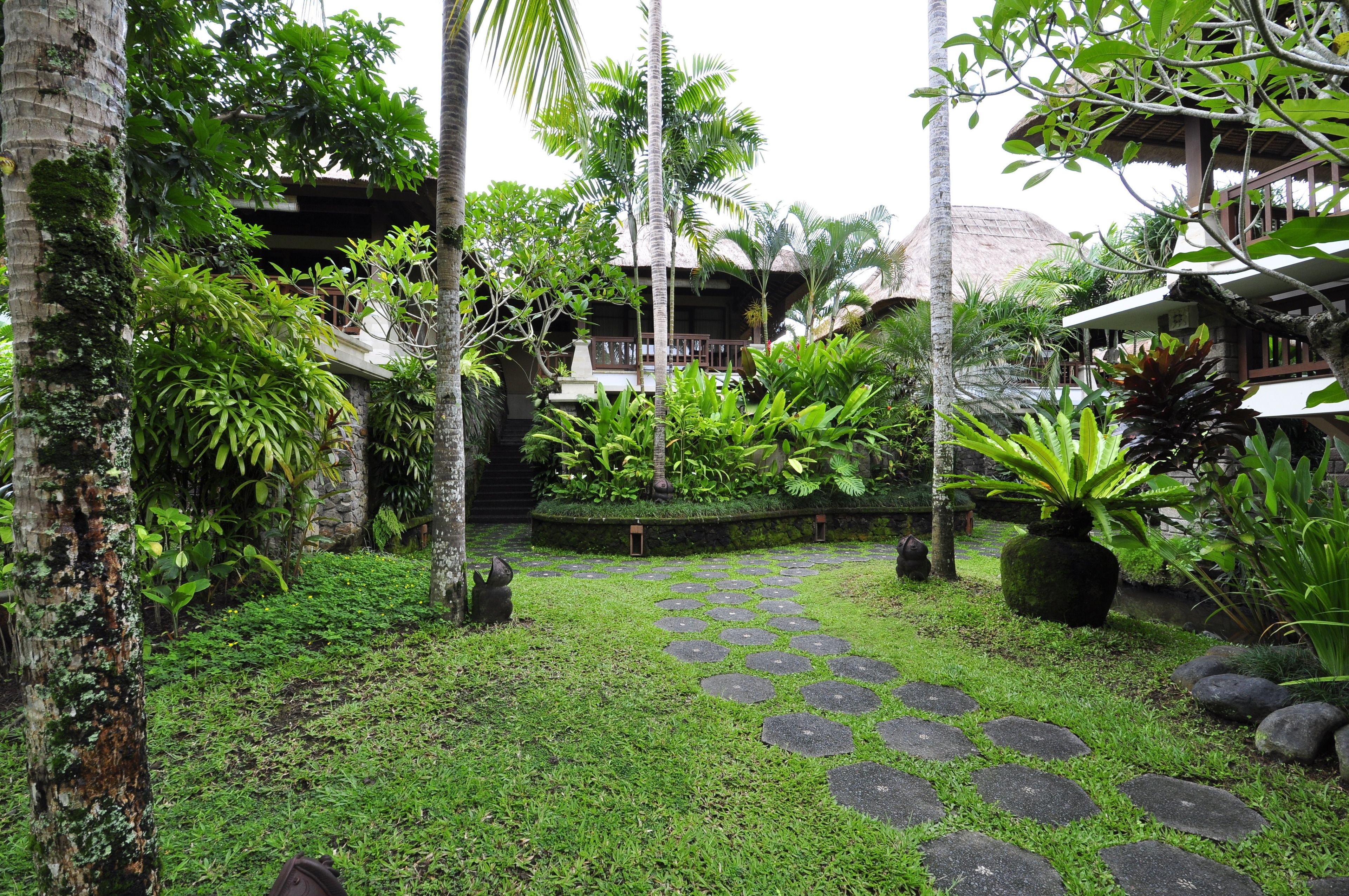 Un jardín tropical con senderos de piedra, abundante vegetación y un edificio con techo de paja.