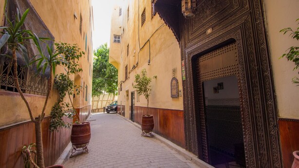 A narrow alleyway with potted plants, a traditional wooden door, and a tiled floor. - Riad Damia Suite &Spa (Fes)