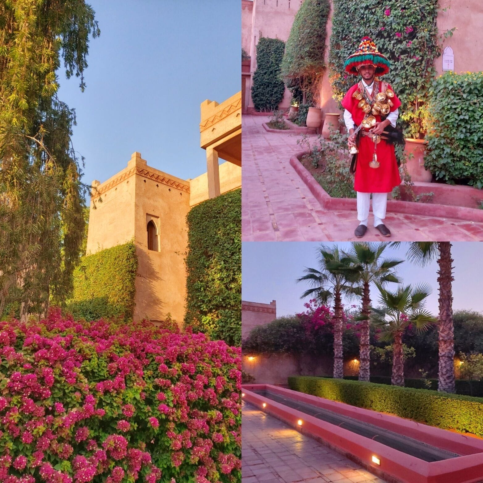 Photo - La Maison Des Oliviers