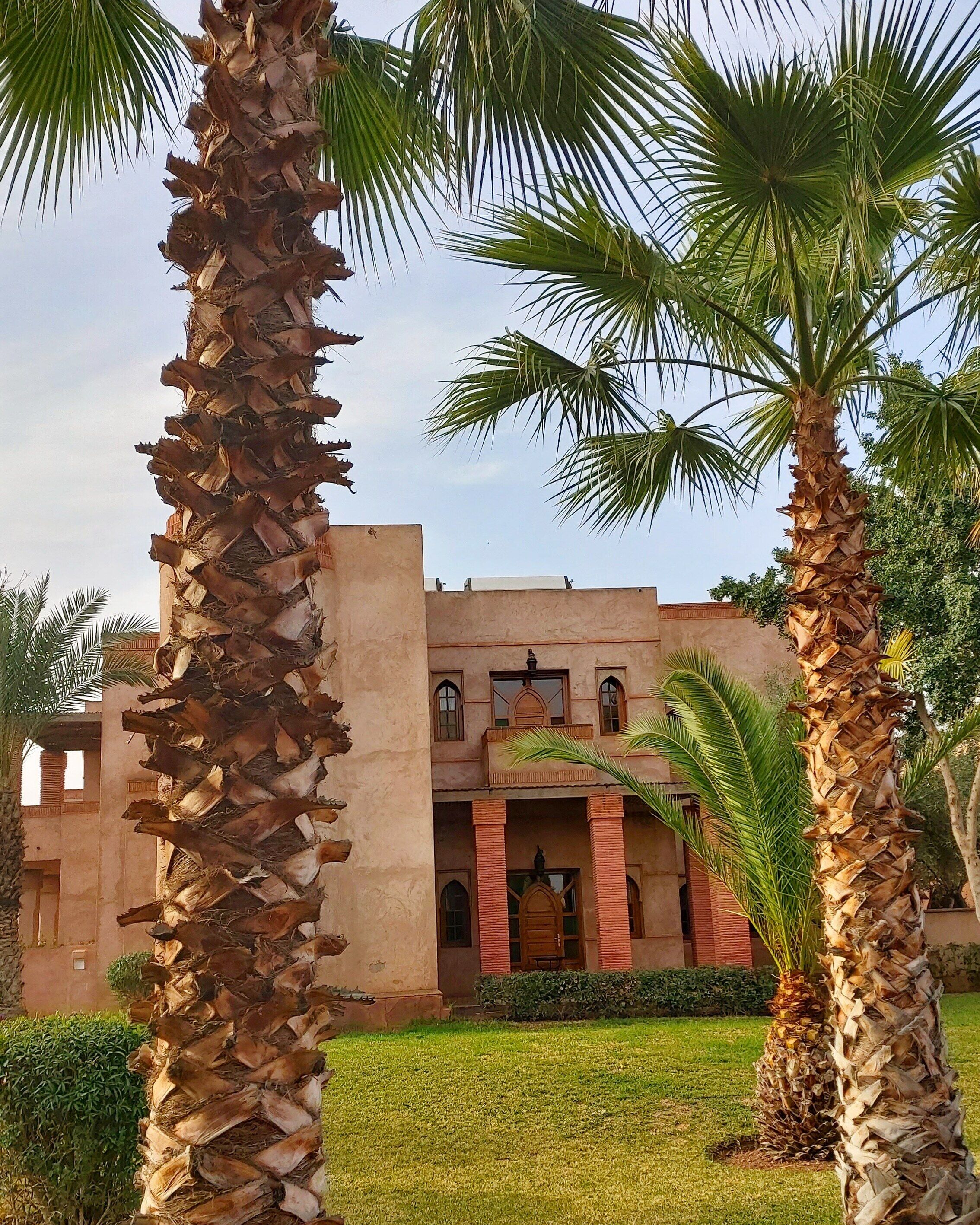 Photo - La Maison Des Oliviers