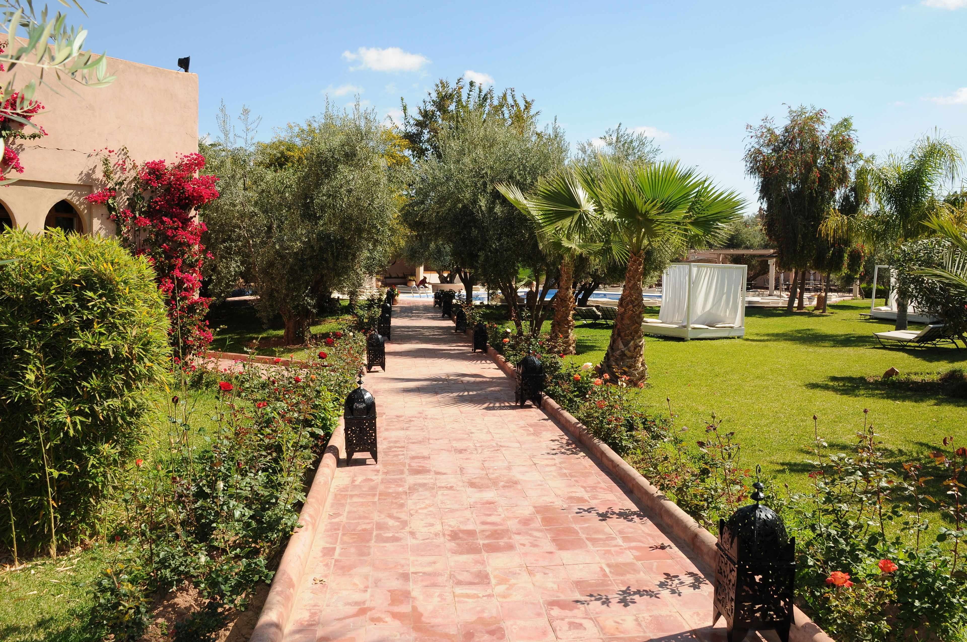 La Maison Des Oliviers