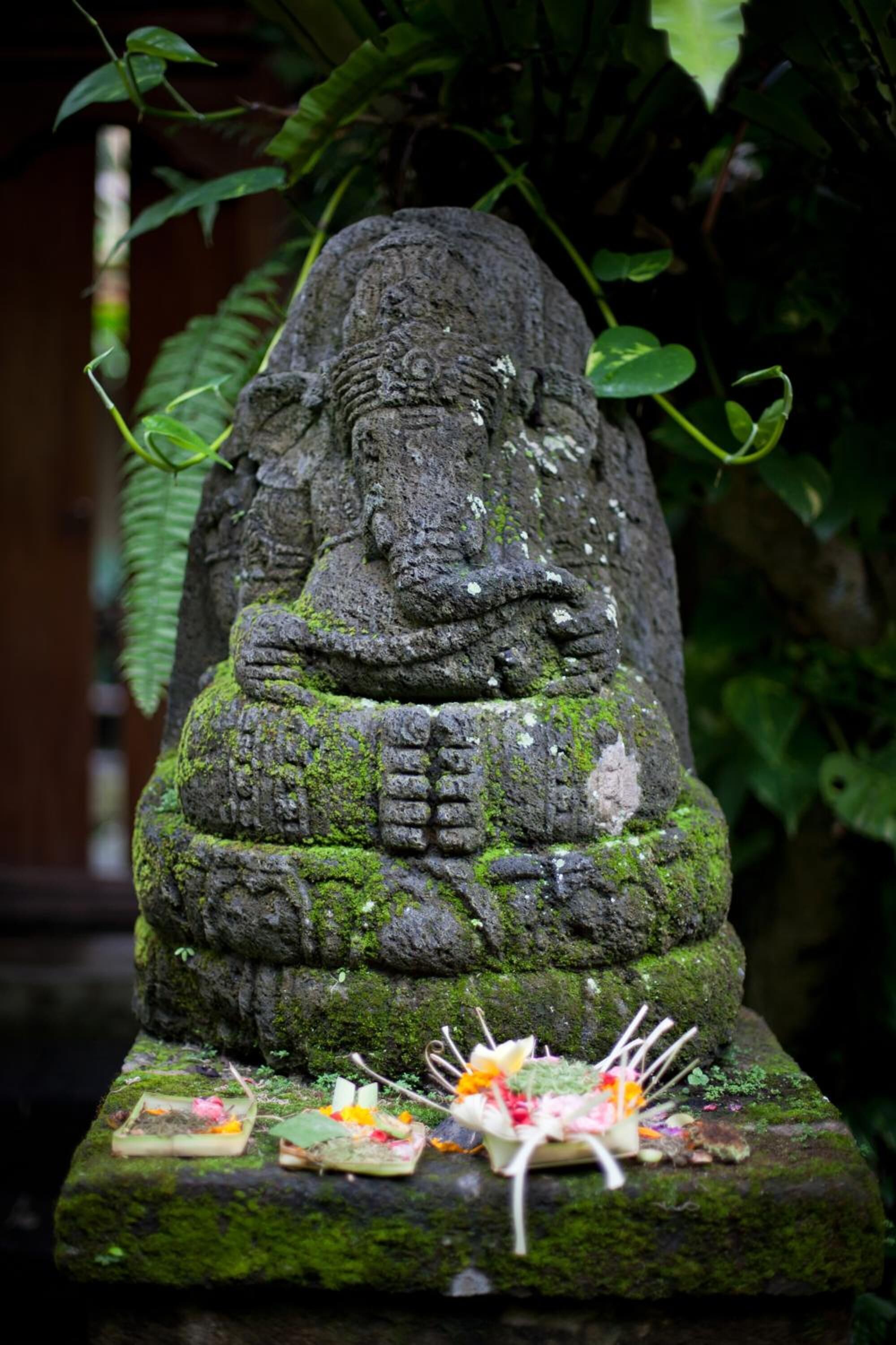 Foto - Barong Resort Ubud by Puri Signatures