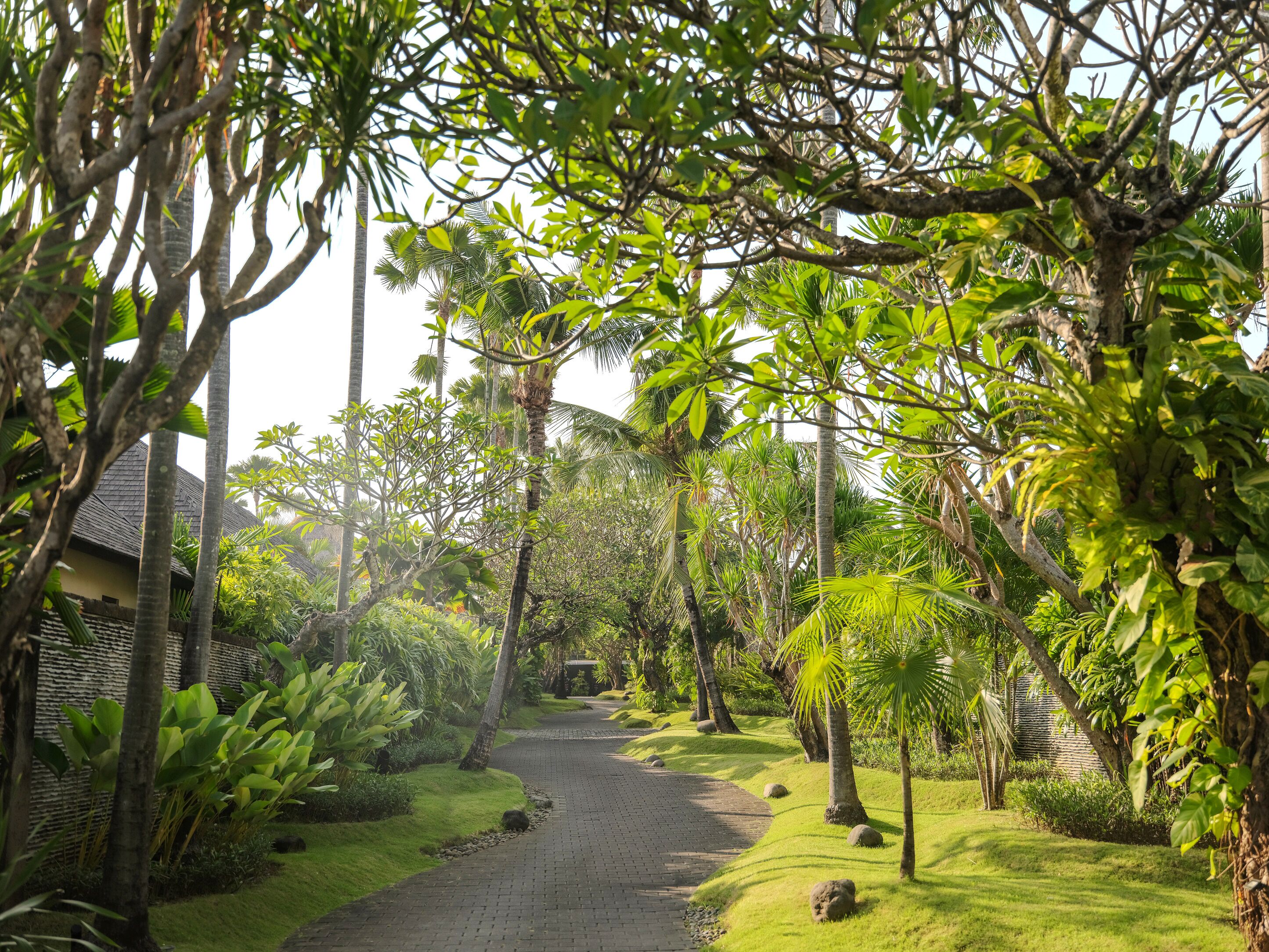 Garden view