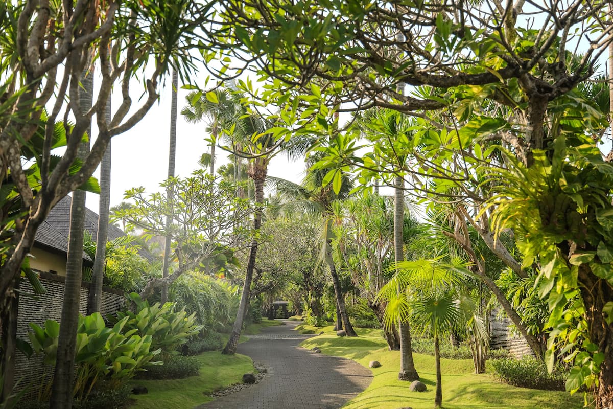 Garden view