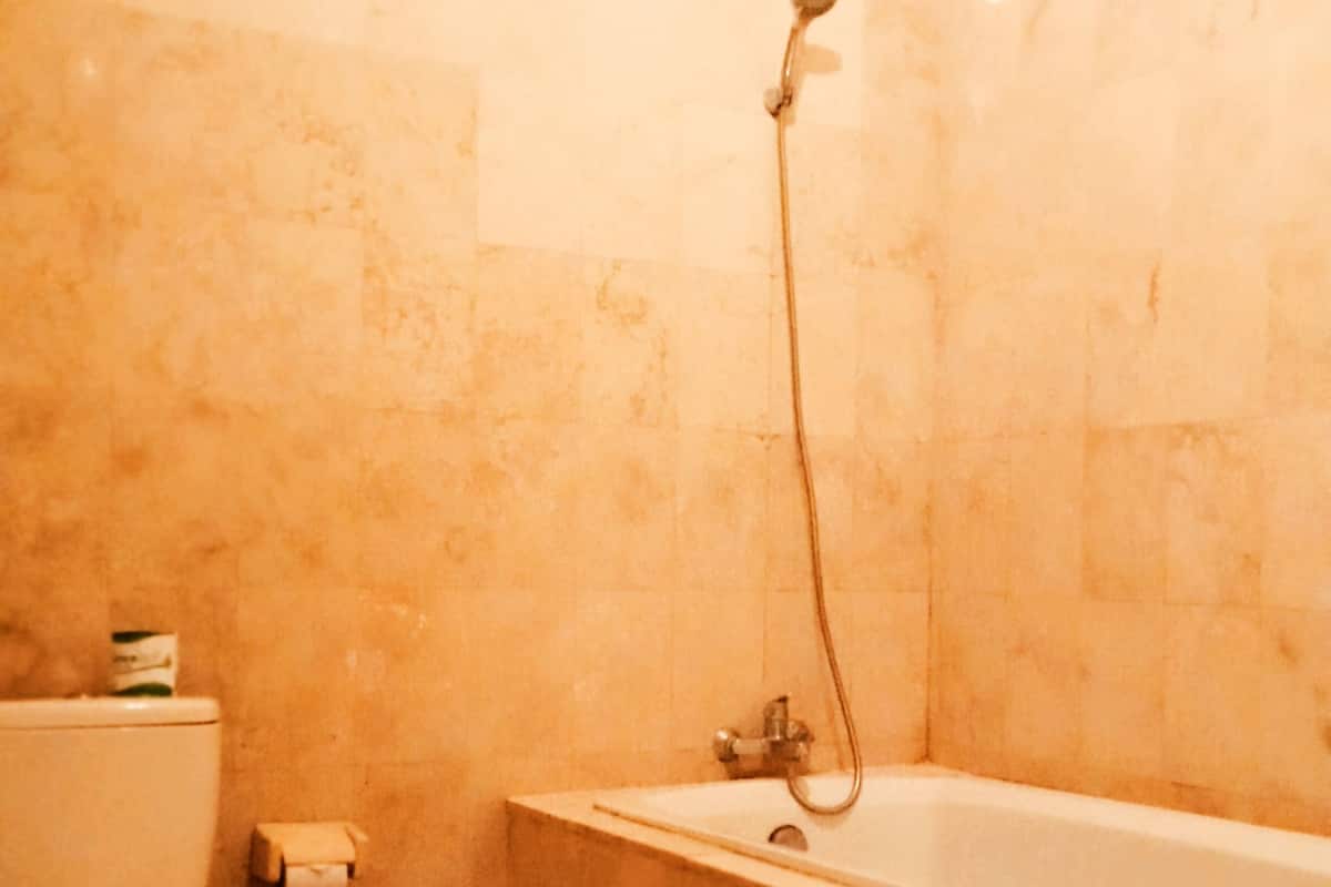 A bathroom with a toilet, a bathtub, and a shower.