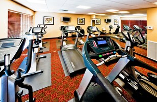 Un gimnasio con cintas de correr, bicicletas estáticas y máquinas elípticas.