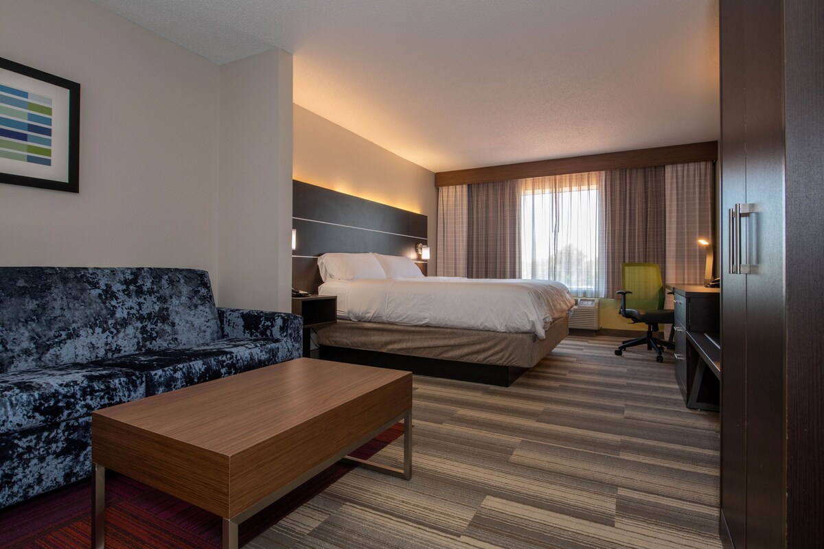 A hotel room with a bed, a sofa, a desk, and a chair.
