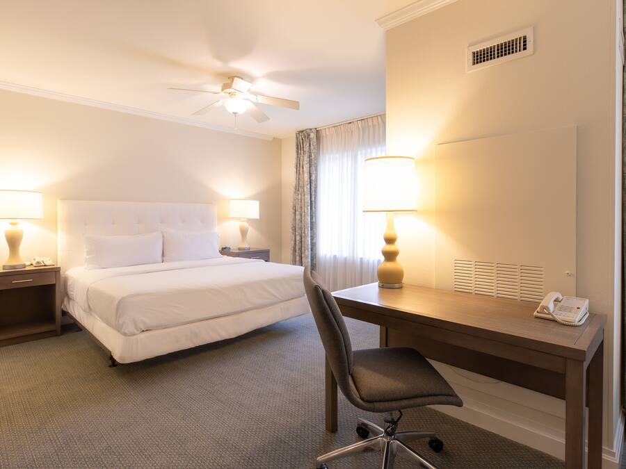 A hotel room with a bed, desk, chair, lamps, and a ceiling fan.