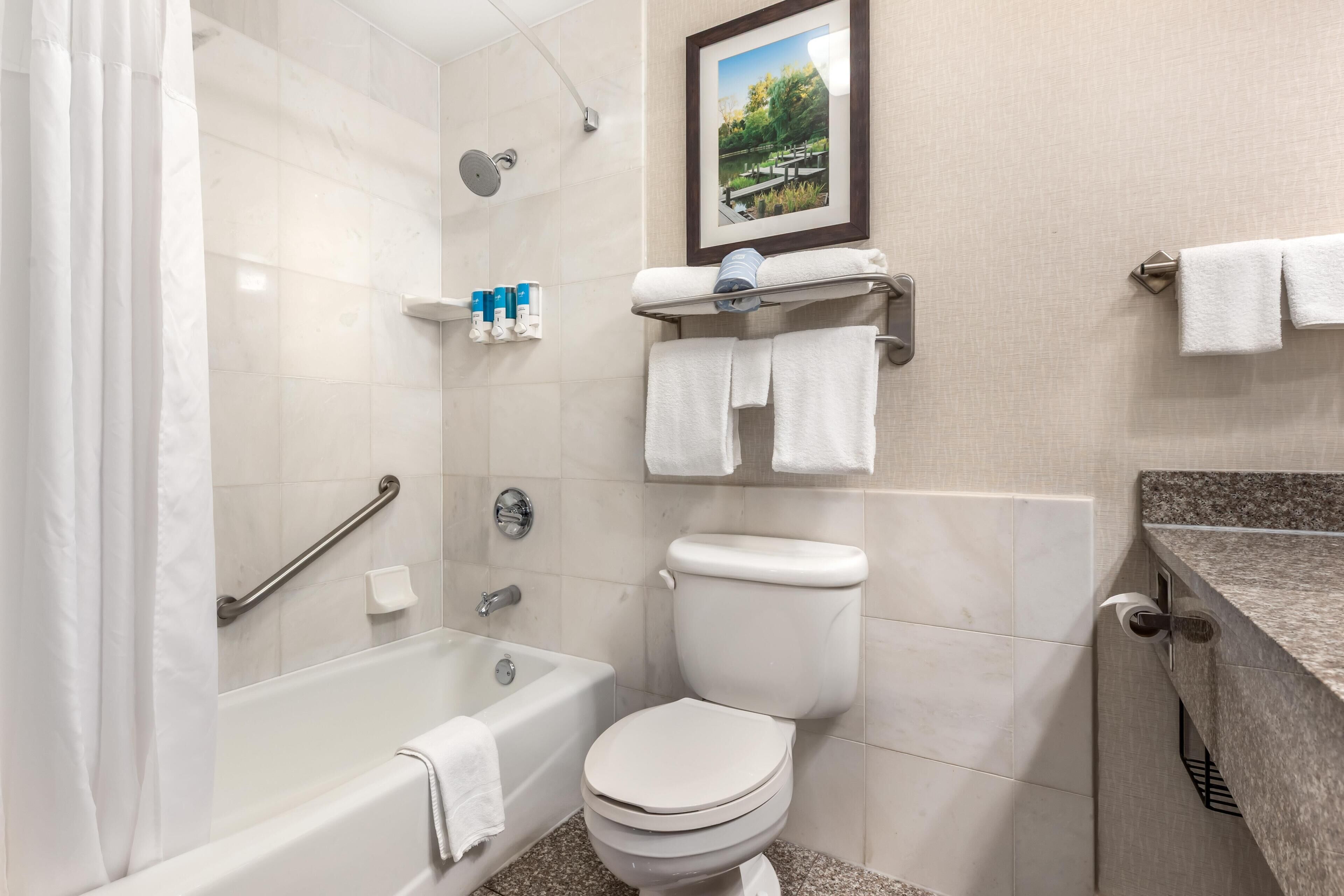 Une salle de bain avec une baignoire, des toilettes, une douche et un tableau encadré au mur.