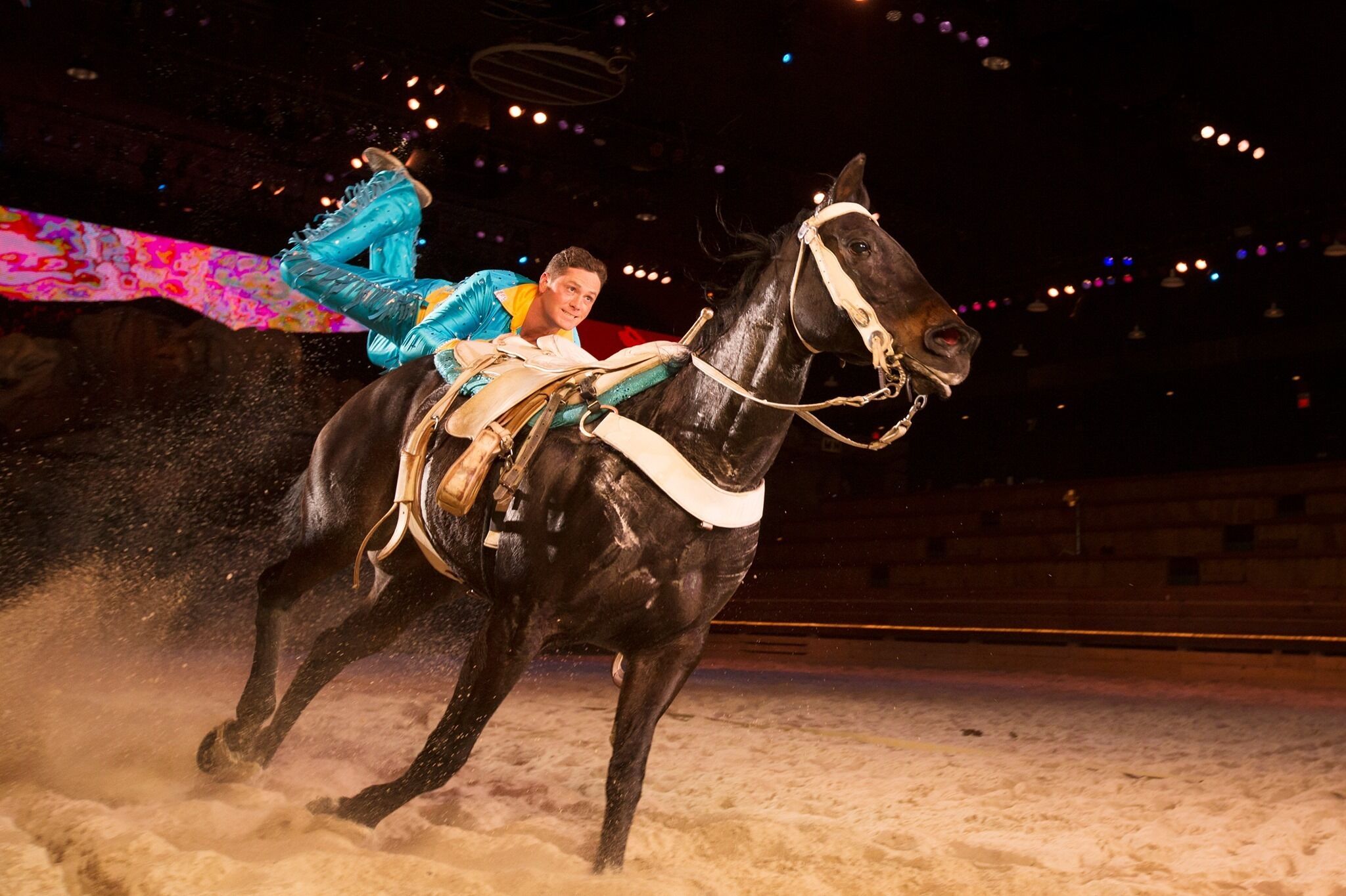 A person riding a black horse in an indoor arena with a sandy floor.